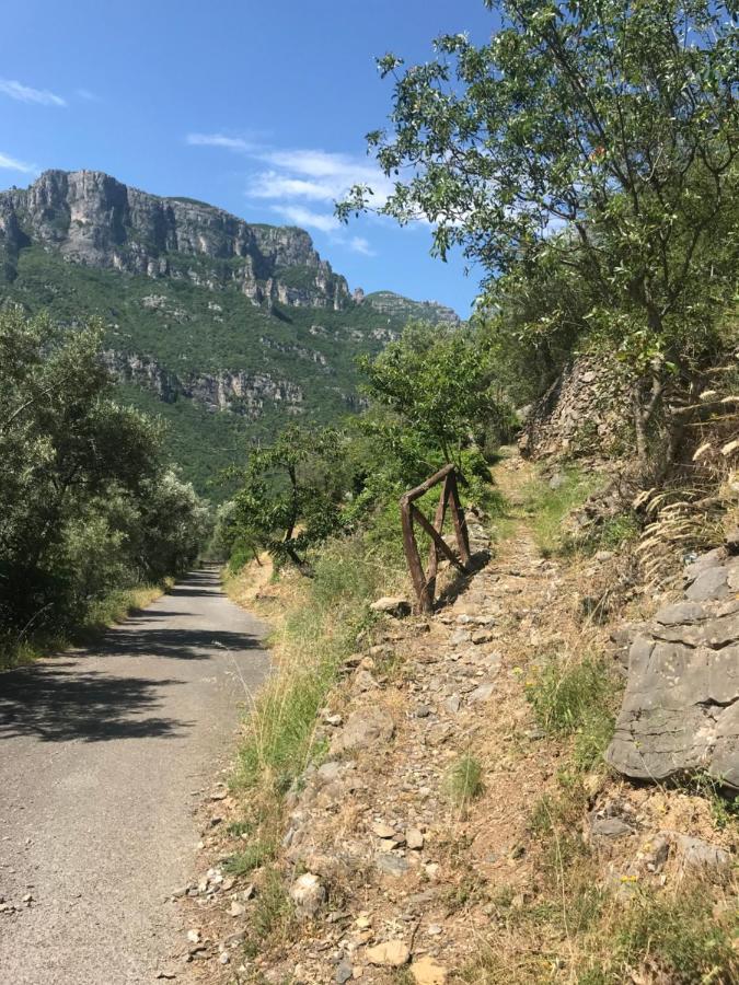Le Ciappe Castelbianco Terra Citr 9020-Beb-0003 Bed & Breakfast Colletta Bagian luar foto